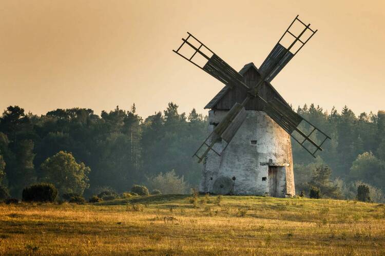 Ferienhaus-Gotland_Windmuehle